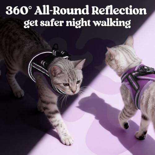 Image of rabbitgoo Cat Harness and Leash Set, Step-in Soft Vest, Purple-Light Purple