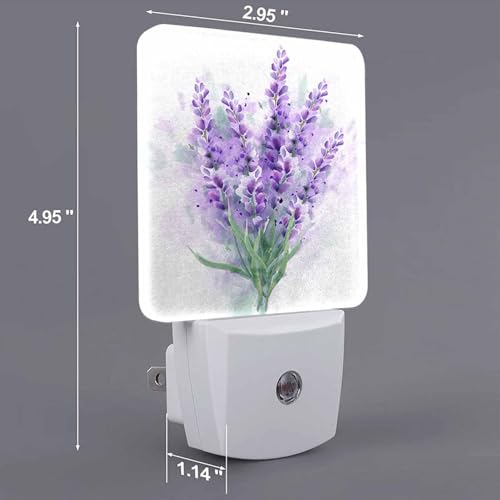 Image of LED Night Light,Delicate Purple Lavender Flowers LED Night Light Plug into Wall with Dusk to Dawn Light Sensor White Energy Efficient Nightlight for Bedroom Bathroom Hallway LivingRoom Kitchen