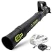 Sun Joe 24V-TB-LTE 24-Volt iON Cordless Compact Turbine Jet Blower, Kit (w/ 2.0-Ah Battery + Quick Charger)