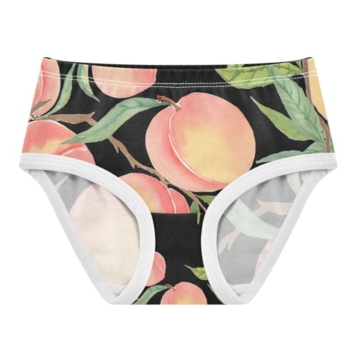 Watercolor Peaches Toddler Girls's Underwear 2T 202c1404