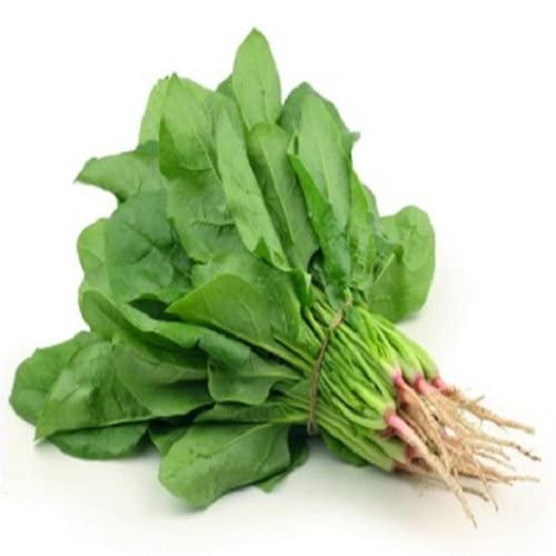 Mustard Saag Seeds Vegetable Hybrid Seeds for Home Garden for Planting (Pack of 5 Packets) By Zabbus (B0BJ95JLG2) Amazon Price History, Amazon Price Tracker