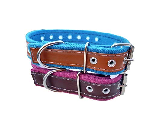Forever99 Pet Shop Leather Dog Collar Neck Belt for Extra Large Dogs (Tan) (B082BG1P5X) Amazon Price History, Amazon Price Tracker