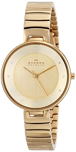 Skagen���f�B�[�Xskw2226 Gitte Quartz 3 Hand�X�e�����X�X�`�[���S�[���h�r���v