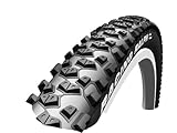 Schwalbe
