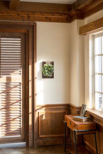 Dahey Farmhouse Wall Decor Window Frames With Eucalyptus Wreath, 2 Pack Rustic Wood Fake Window Wall Art For Dining Room Living Room Kitchen Entryways, 16 X 11 Inch, Brown #TOP3