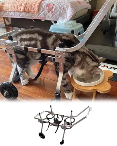 Chariot de récupération à 4 roues pour chien et chat : offrez-lui à nouveau la liberté