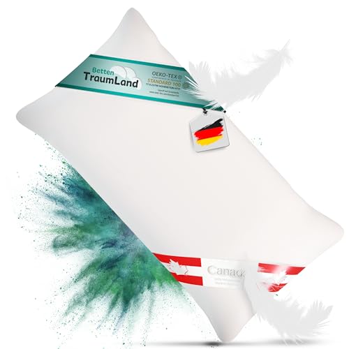 Neuheit Premium Daunenkissen Canada Aussensteg 40x80 cm 100{5923562b81908867d2dcda99a99efb41777641cdbf3c67ecc58c1954a3b8f468} Natur 450 g canadische Daune Neuheit Premium Daunenkissen Canada Aussensteg 40x80 cm 100{5923562b81908867d2dcda99a99efb41777641cdbf3c67ecc58c1954a3b8f468} Natur 450 g canadische Daune