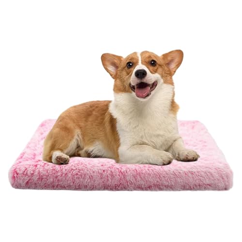 ybgEH[}[}bg ȔMZp ʎgp\ ~pN[gpbh |GXe yʌg? Lp