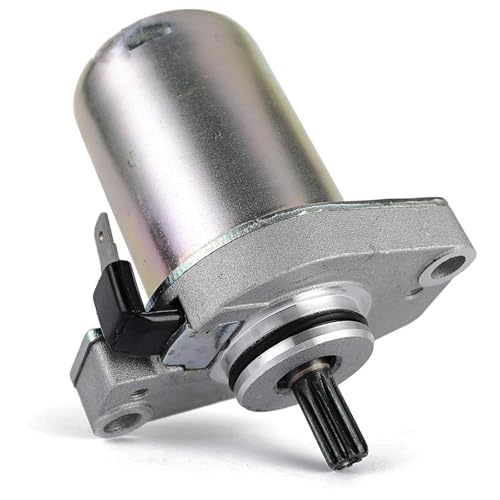 ɓKA~R 50 Ko[ XJxI DT \jbN AC 50pX^[^[[^[