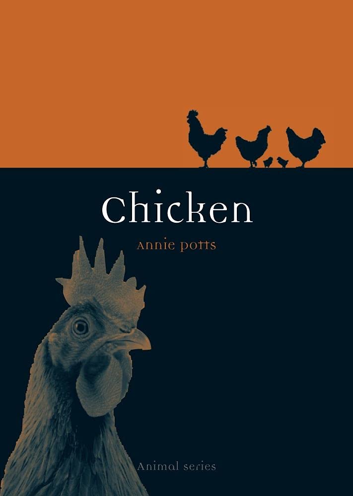 Chicken (Animal)