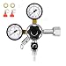 FERRODAY Dual Gauge CO2 Draft Beer Regulator Dual Stage Pressure Regulator CGA-320 CO2 Tank Beer Kegerator Regulator with Relief Valve Beer Keg Pressure Regulator for Homebrew 0-60 PSI 0-3000PSI