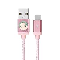 Vista 1 de Cables de caracteres BTS (tipo C Cable_RM)
