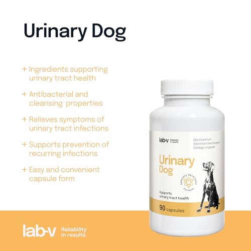 Lab-V Urinary Dog – Ergänzungsfuttermittel für Hunde zur Unterstützung der Harnwege – 90 Kapseln – mit Cranberry & D-Mannose – ohne künstliche Zusatzstoffe