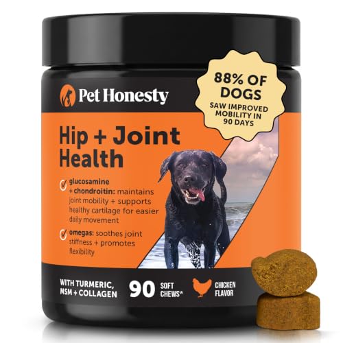 Hip + Joint Supplement for Dogs with Glucosamine Chondroitin – MSM, Turmeric & Collagen Soft Chews – Joint Function, Stiffness, and Mobility Support, May Reduce Occasional Discomfort (Chicken, 90 Ct)