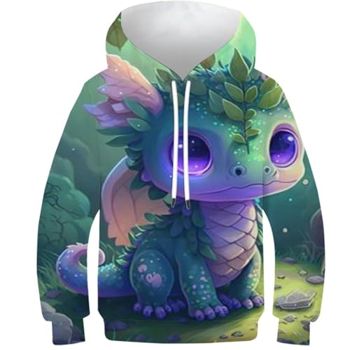Sweat à capuche ado 11-13 ans : le pull 3D stylé anti-froid