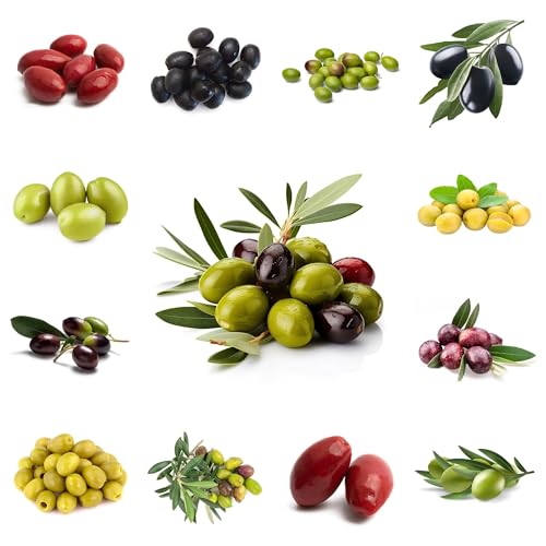 semi di ulivo - decorazione dell'di colonnari da balcone resistenti rare sapote, resistenti 20pcs