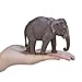 MOJO Asian Elephant Realistic International Wildlife Toy Replica Hand Painted Figurine, Grey (387266)