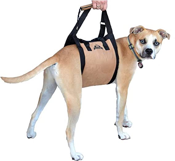 Dog Support Harness Dog Stair Lift Dog Lift Harness