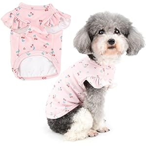 Zunea Chemise D&rsquo;été pour Petit Chien T-Shirt en Coton Doux Respirant Imprimé Cerise Chiot Vêtements à Volants à Manches Courtes pour Animal Domestique Chat Chihuahua Yorkshire Rose L