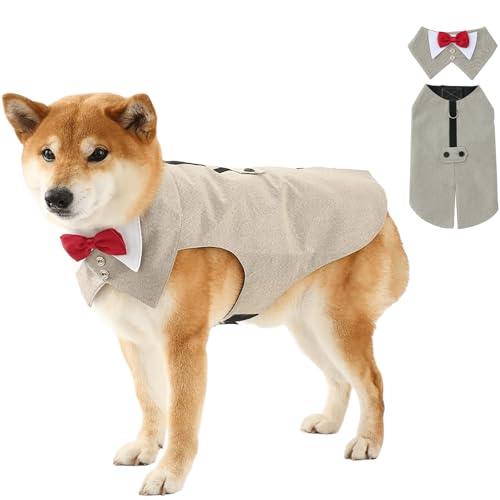 IUOUTG ^p^LV[hAO\ȃ{E^Ct֕tDybgvXRX`[AʂȃCxgp̃tH[}ȌpEFfBOX[cRX`[