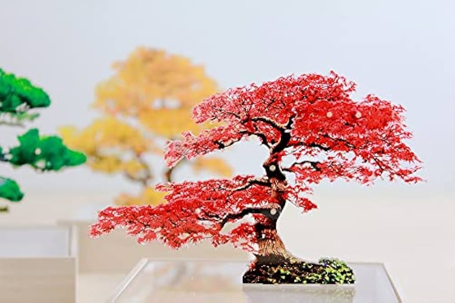 Amazon.co.jp: トウメイ 盆栽 ミニ オブジェ 置物 紅葉 もみじ