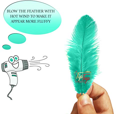 Image of Natural Dyed Feathers 10 cm (80 pieces) (Turquoise)
