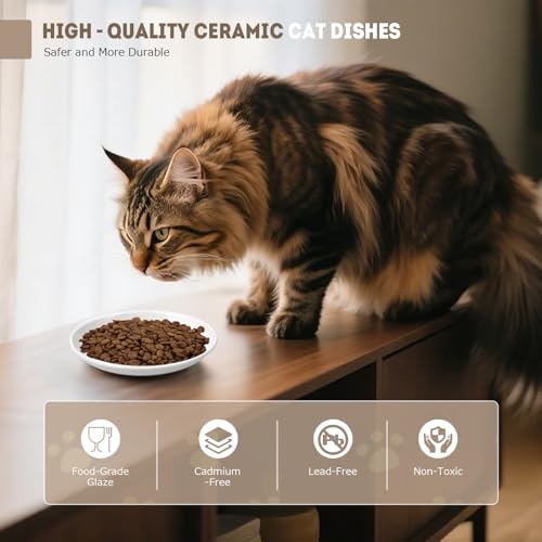 Katzennapf Flach Keramik Futterschale – Futternapf Katze, Whiskerfreundlicher Katzenfutternapf für Nass- & Trockenfutter… – Ansicht 4
