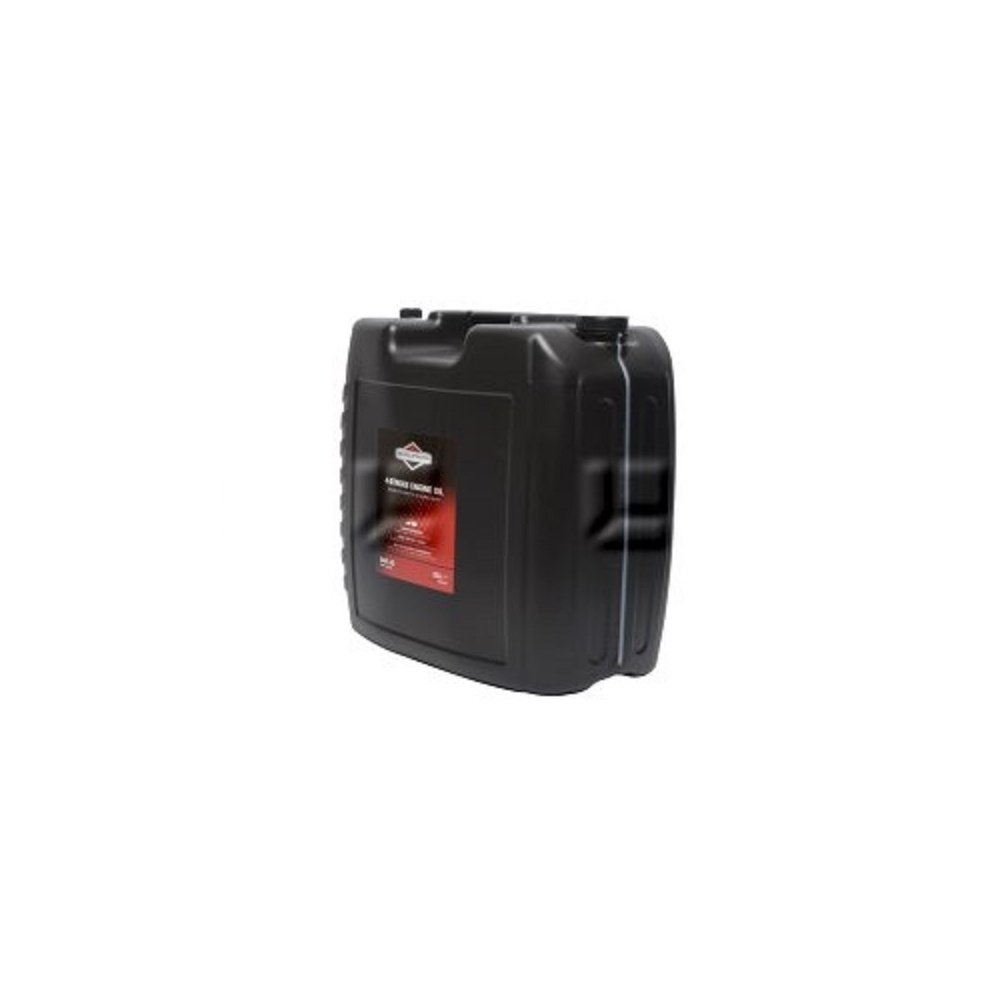 Briggs & Stratton 100046E Öl schwarz 25 Litre
