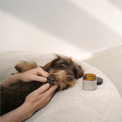Pfotenbalsam für Hunde – mit natürlichen Inhaltsstoffen, beruhigt und schützt die Haut, stärkt die Widerstandskraft der Pfotenballen, PFÖTCHENPFLEGE von LILA LOVES IT, 60 ml
