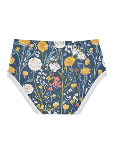 ZZKKO Countryside Wildflowers Girls Underwear Toddler Panties for Girls Comfort Brief Size 2T2