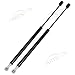 Maxpow Rear Window Glass Lift Supports Struts Shocks Compatible with Explorer 1991-2001 / Navajo 1991-1994 / Mountaineer 1997-2001, SG304009 4608