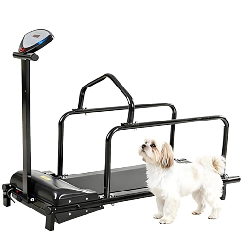 Electric Pet Running Machine, Dog Treadmill for Large and Medium Dogs, Slatmill for Indoor and Outdoor Training, Supports Up to 176 Pounds