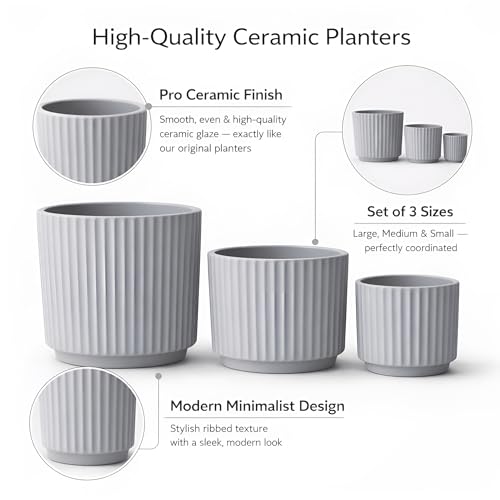 Image of Xtore Contemporary Ceramic Ribbed Planter Set | Minimal Vertical Groove Plant Pots for Home, Office & Living Room Decor - (Set of 3, Grey, Planter ONLY)