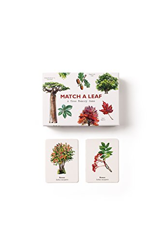Match a Leaf: A Tree Memory Game - Image 4