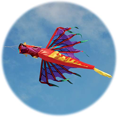 Spirit of Air - Fire - Dragon Windsock