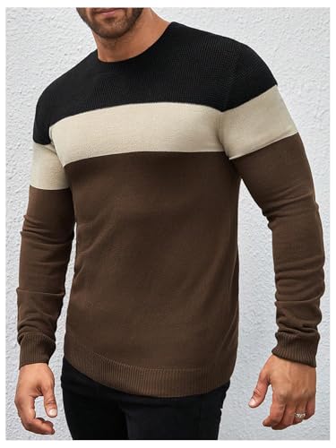 WDIRARA Men's Crew Neck Long Sleeve Sweater Color Block Knitwear Casual Pullover Tops3