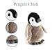 The Petting Zoo Penguin Chick Stuffed Animal Plushie, Gifts for Kids, Scoopz Animals, Penguin Chick Plush Toy, 8 inches
