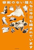 容赦のない猫たちに今日も絡まれています