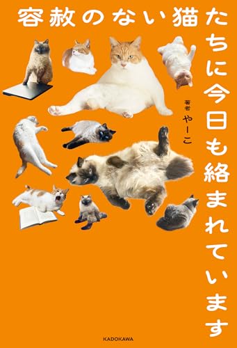 容赦のない猫たちに今日も絡まれています
