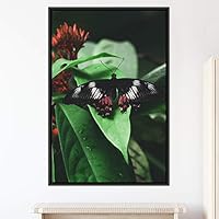 Framed Canvas Wall Art Butterfly Expressive Farmhouse/Country Home Office Insects Lake Multicolor Photography - 16x24 inches