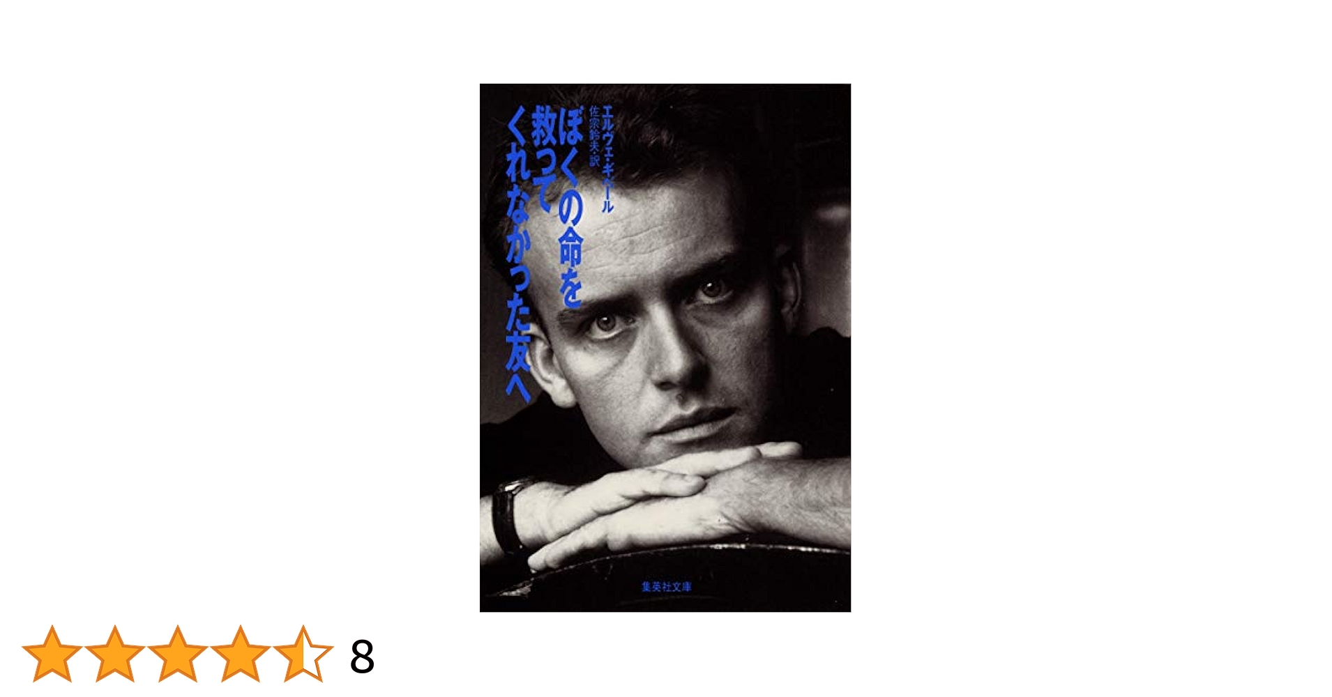 レア物希少、悪徳〜エルヴェギベール〜黒木賽 Herve Guibert VICE 悪徳】エルヴェ・ギベール - 享楽堂
