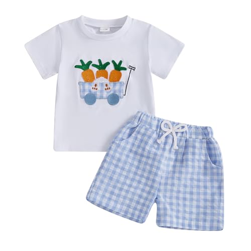 Image of Toddler Baby Boy Easter Rabbit Outfit Short Sleeve Bunny Carrot Smocked T-shirt Elastic Waist Shorts Summer Clothes