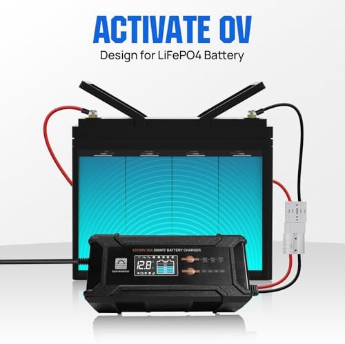 ECO-WORTHY 12V/24V 20A LifePO4 Lithium Battery Charger 14.6V Automatic Smart & Maintenance with Anderson Connector for Lithium (LiFePO4) and Lead Acid Battery, Boat, RV - 1