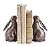 Creative Co-Op Decorative Resin Rabbit Bookends, Bronze, Set of 2