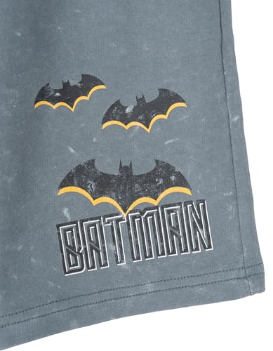 Image of DC Comics T-Shirt and French Terry Shorts Outfit Set Toddler to Big Kid Sizes (2T - 14-16)