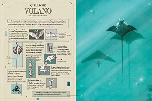 Animali Bellissimi. Ediz. A Colori - 4