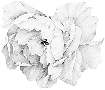 Wonder Space Jumbo Peony Watercolor Wall Decals - Large Size Peonies Flowers Leaves Room Wall Stickers - Scandinavian Design Floral (Grey)