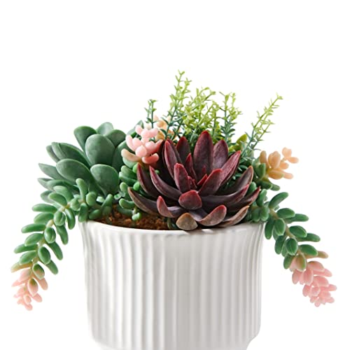 Astridia Artificial Succulent Plants, Faux Assorted Succulents Fake Plants In White Ceramic Pots For Home Decor, Bedroom, Office, Desk, Living Room, Set Of 2 #TOP2