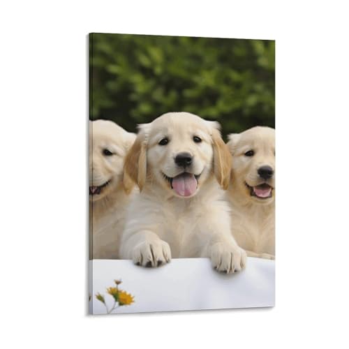 Décoration murale esthétique Golden Retriever avec toile murale 40x60