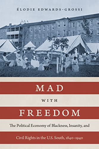 Mad with Freedom: The Political Economy of Blackness, Insanity, and Civil Rights in the U.S. South, 1840–1940 (Jules and Frances Landry Award)